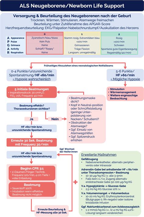 Schema zur Sauerstofftherapie bei Neugeborenen mit Angabe von Zielwerten für SpO2 und PaO2 je nach Gestationsalter.