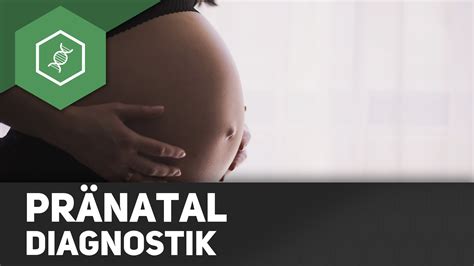 Schema der Pränataldiagnostik und Geburtshilfe
