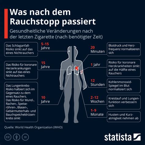 Grafik, die die schrittweise Verbesserung der Gesundheit nach dem Rauchstopp über verschiedene Zeiträume hinweg zeigt.