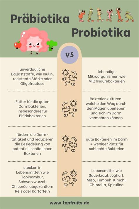 Vergleichstabelle verschiedener Anfangsnahrungen mit Fokus auf Probiotika und LCP