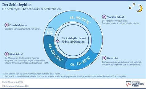 Schema des Schlafzyklus bei Babys und Erwachsenen