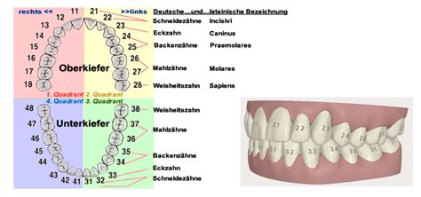 Schema zur korrekten Gurtführung bei der Installation eines Kindersitzes mit Fahrzeuggurt