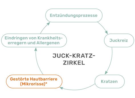 Grafik, die den Juck-Kratz-Zirkel veranschaulicht