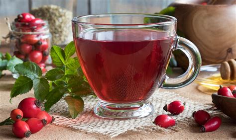 Eine Tasse dampfenden Hagebuttentee mit frischen Hagebutten daneben