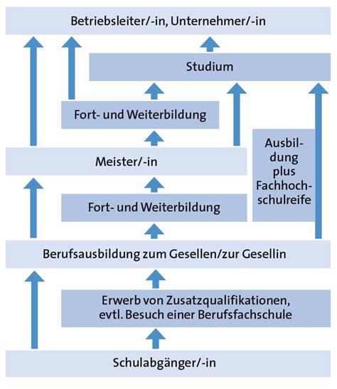 Grafik, die verschiedene Wege des beruflichen Wiedereinstiegs darstellt (Rückkehr, Weiterbildung, Ausbildung, Selbstständigkeit)