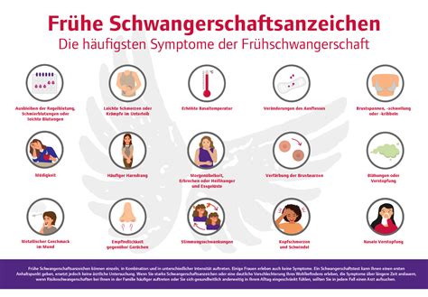 Illustration der typischen Schwangerschaftsanzeichen im ersten Trimester