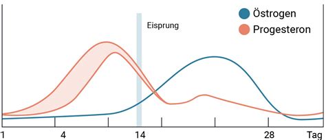 Grafik, die die Hormonspiegel von Östrogen und Progesteron während des Menstruationszyklus zeigt