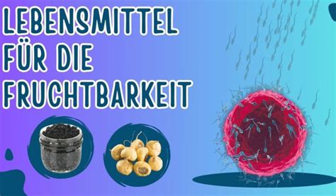 Darstellung von Lebensmitteln, die die Fruchtbarkeit fördern