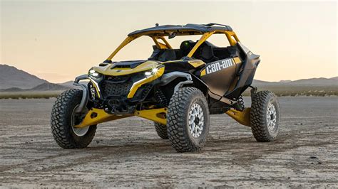 verschiedene Buggy-Modelle nebeneinandergestellt
