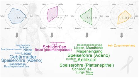 Profil eines anonymen Samenspenders mit verschiedenen Merkmalen