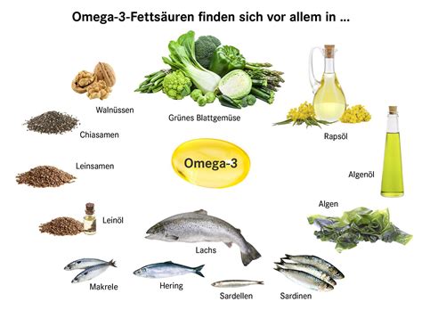Schema, das die Bedeutung von Omega-3-Fettsäuren (DHA) für die Gehirnentwicklung des Säuglings darstellt.