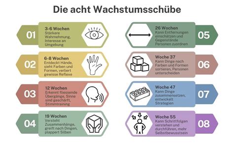 Grafische Darstellung der acht Wachstumsschübe im ersten Lebensjahr eines Babys mit den jeweiligen Zeiträumen und Entwicklungsbereichen.