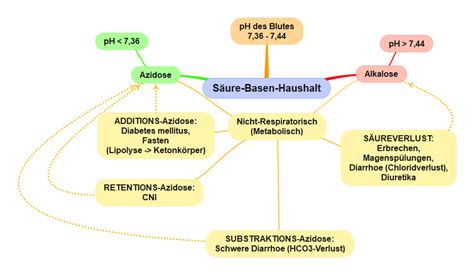 Schema des Säure-Basen-Haushalts mit Beteiligung von Lunge, Nieren und Puffersystemen