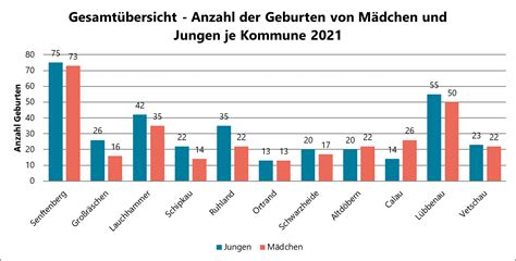 Statistik über Geburten: Anzahl Jungen vs. Mädchen im Helios Klinikum Schleswig