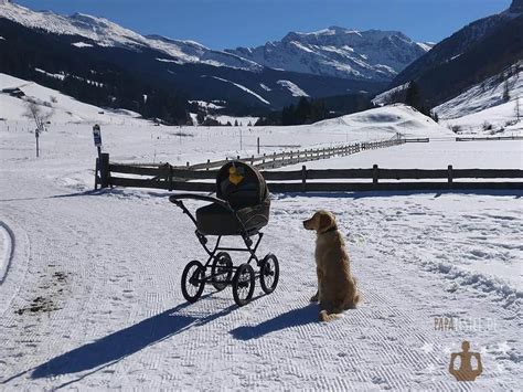 Knorr Classico Kinderwagen im Einsatz bei Schnee, um die Geländetauglichkeit der Räder zu demonstrieren.