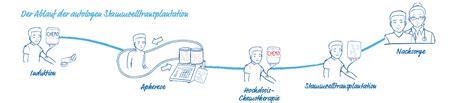 Illustration des Ablaufs einer Vakuumaspiration