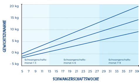Grafik, die die durchschnittliche Gewichtszunahme pro Trimester und die Zusammensetzung der Gewichtszunahme (Baby, Fruchtwasser etc.) zeigt.