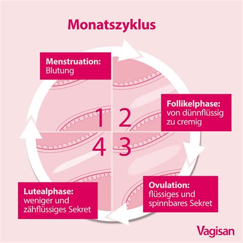 Illustration von Symptomen einer Scheidenpilzinfektion wie Juckreiz und Ausfluss