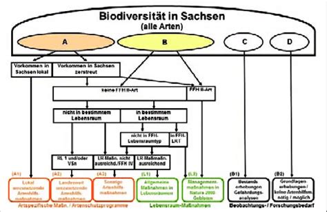 Schema zur schrittweisen Einführung von Beikostmahlzeiten