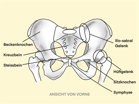 Schema des weiblichen Beckens mit seinen verschiedenen Ebenen und Dimensionen