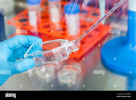 Nachbildung eines Reagenzglases mit einer Zellkultur, symbolisch für IVF