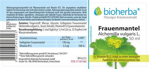 Darstellung verschiedener Anwendungsformen von Frauenmantel: Tee, Tinktur, Kompresse