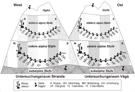 Schema des Aufbaus des Gemüse-Kartoffel-Fleisch-Breis über mehrere Wochen.