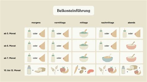 Tabelle mit den empfohlenen Mahlzeiten und Zeitfenstern für die Beikosteinführung.