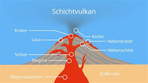Infografik, die den Aufbau und die Abmessungen eines Vaginalrings zeigt