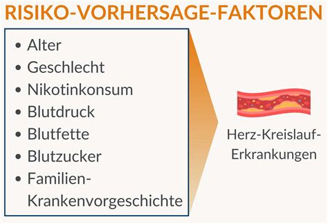 Grafische Darstellung der verschiedenen Risikofaktoren für eine Frühgeburt