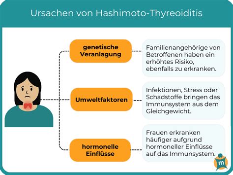 Grafik mit verschiedenen Symptomen der Hashimoto-Thyreoiditis