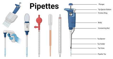 Schema einer Blutuntersuchung mit Pipette und Blutprobe