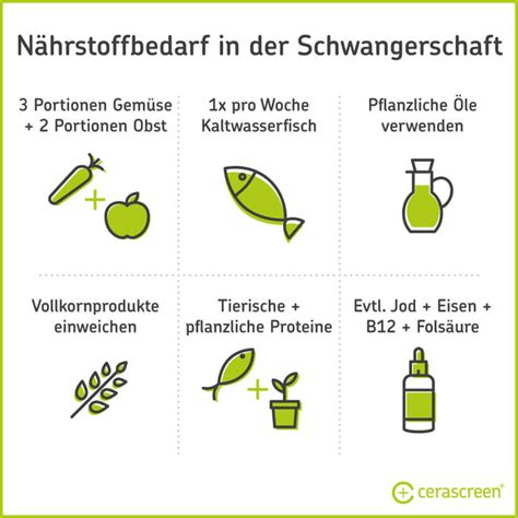 Infografik: Wichtige Nährstoffe in der Schwangerschaft