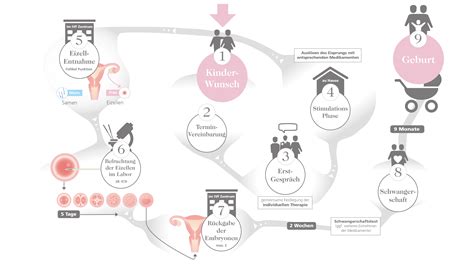 Schema des Ablaufs einer Kinderwunschbehandlung von Erstgespräch bis Schwangerschaftstest