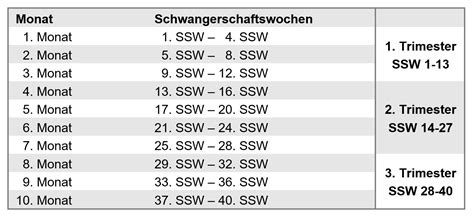 Schema der Schwangerschaftswochen und die damit verbundenen Risiken und Überlebenschancen bei Frühgeburten