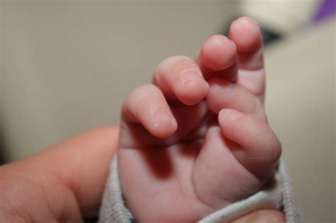 Nahaufnahme einer Babyhand, die einen erwachsenen Finger umklammert (Greifreflex)