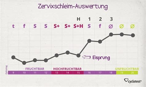 Beispiel eines Zyklusblattes zur Dokumentation von Zervixschleim, Basaltemperatur und anderen Zykluszeichen.