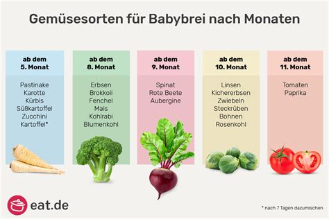 Illustration von sauberen Küchenutensilien und frischem Gemüse für Babybrei