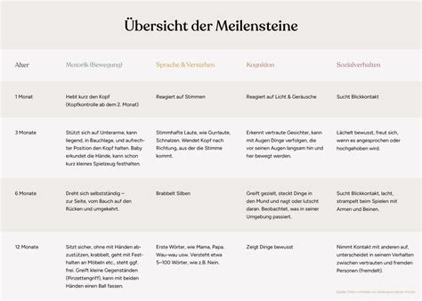 Schema der frühen embryonalen Entwicklung mit Hervorhebung wichtiger Meilensteine wie Herzschlag und Organentwicklung.