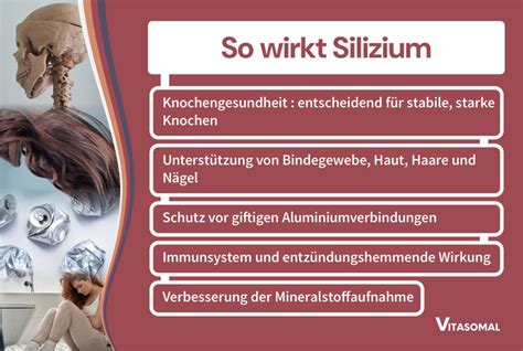 Schema zur Darstellung der Wirkung von Silizium auf Haare, Haut und Nägel