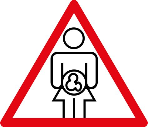 Schema, das die Übertragung von Schadstoffen von der Mutter auf das Kind über die Plazenta darstellt.