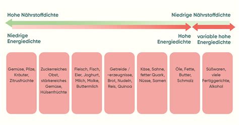 Vergleich der Nährstoffdichte von selbstgekochter Babynahrung und industriellen Gläschen.