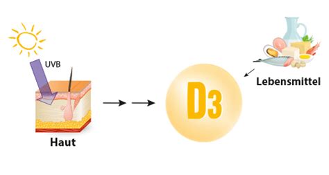 Grafik zur Vitamin-D-Produktion in der Haut durch Sonnenlicht