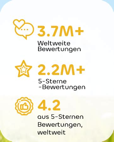 Infografik mit durchschnittlichen Bewertungen für Hebammenleistungen