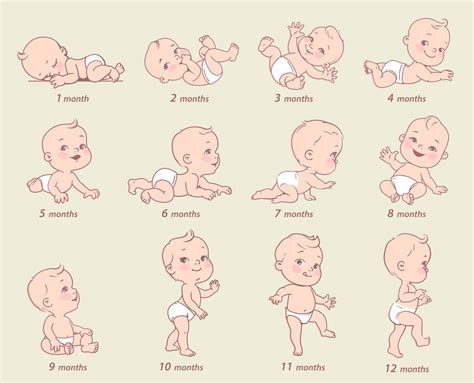 Schema der motorischen Entwicklung von Babys mit Fokus auf Kopfkontrolle