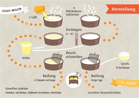 Schema, das den Unterschied zwischen pasteurisierter und Rohmilch zeigt