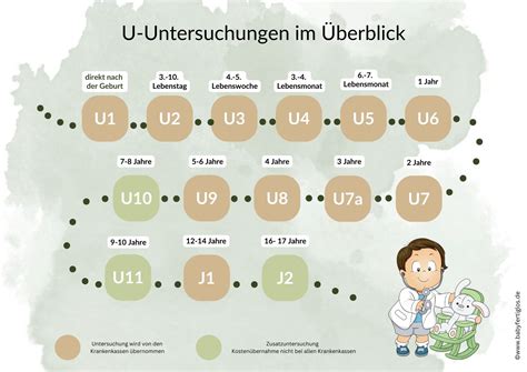 Infografik, die die U1 und U2 Untersuchungen sowie das Pulsoxymetrie-Screening erklärt
