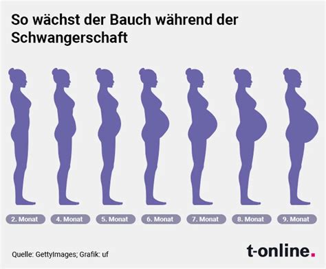 Eine Collage aus Bildern, die verschiedene Frauen und ihre Bauchformen nach der Schwangerschaft zeigen, um Vielfalt darzustellen.