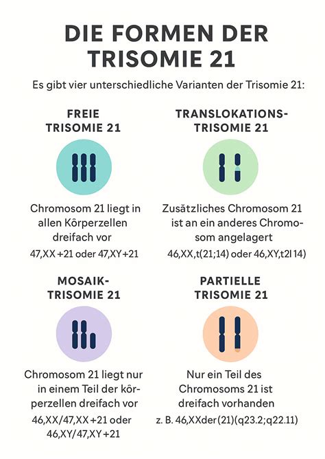 Grafik, die die verschiedenen Typen von Trisomie 21 darstellt