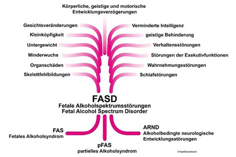 Infografik zu den verschiedenen Ausprägungen des Fetalen Alkoholsyndroms (FAS)